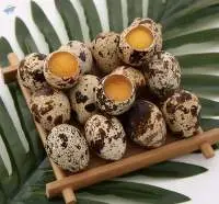 Wholesale Quail Eggs