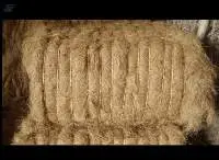 Wholesale Coconut Coir/ Coconut Fiber