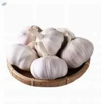 White Garlic And Red Garlic