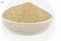 Non Gmo Soybean Meal Feed Grade