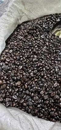Premium wholesale Arabica coffee beans