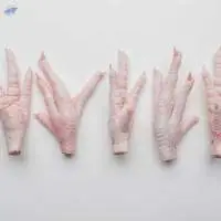 Frozen Chicken Feet & Paws