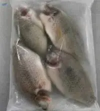 Frozen Black Tilapia Steak