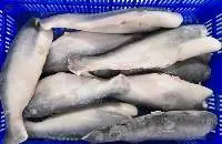 Frozen Pangasius Hgt