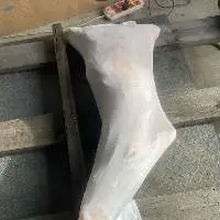 Halal Frozen Mutton Lamb
