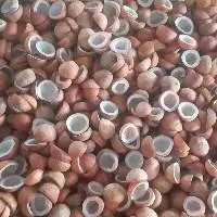 Dry Coconut Copra Grade A