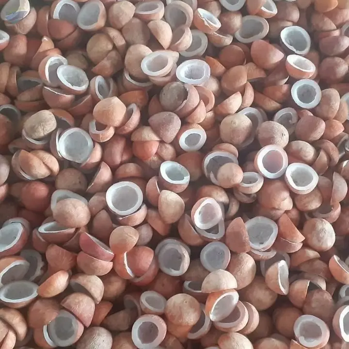 Dry Coconut Copra Grade A
