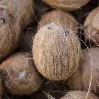 Fully/De-Husked Coconut Grade A