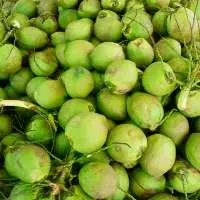 Tender Coconuts Min 300 Ml