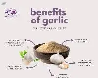 Garlic Powder