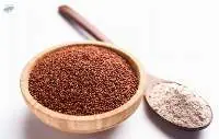 Finger Millet