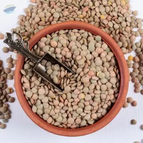 Horse Gram