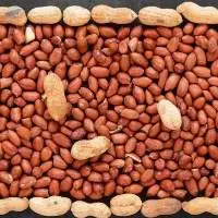 Peanuts