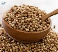 Coriander Seeds