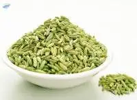 Fennel Seeds