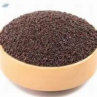 Mustard Seeds