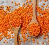 Red Lentils