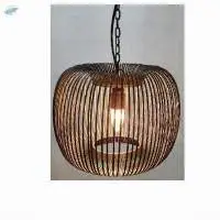 Wired Apple Pendant Light