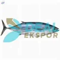 Tuna Fish Product From Indonesia