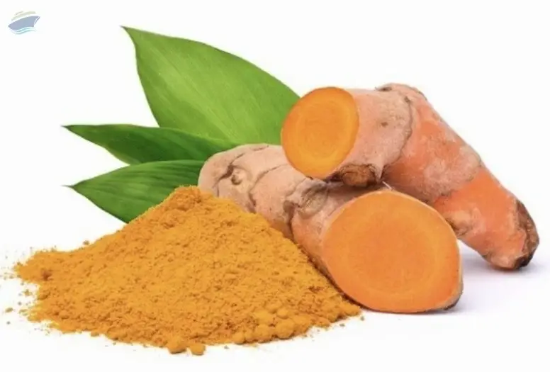 Turmeric