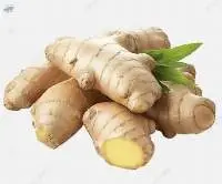 Ginger