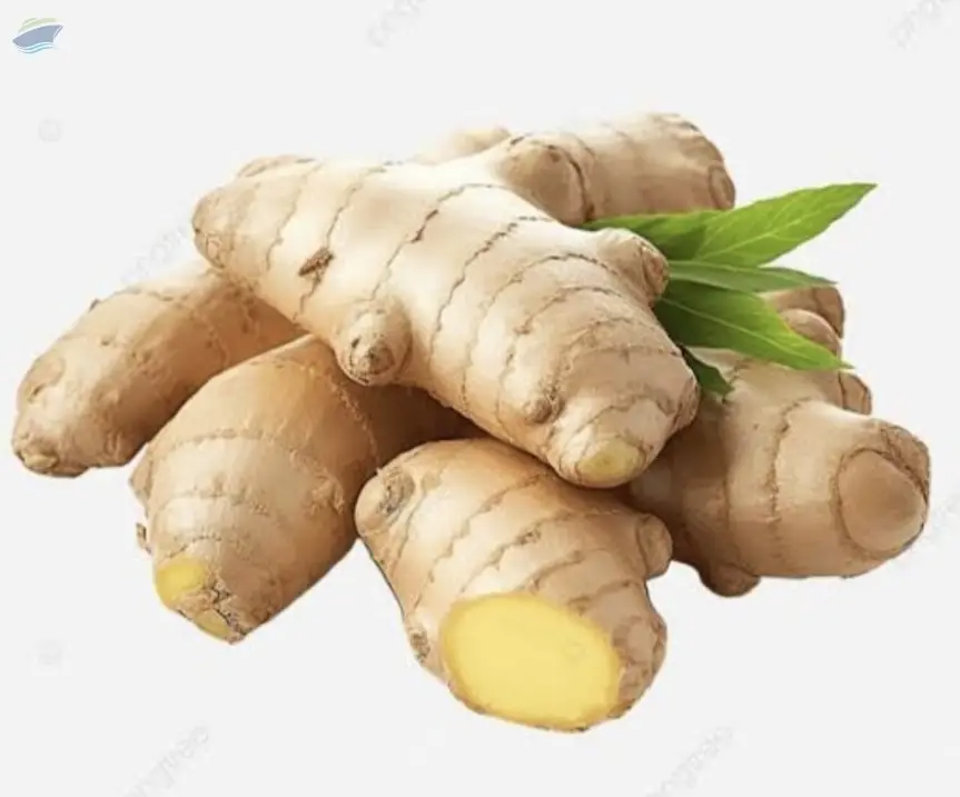 Ginger