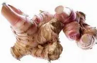 Galangal