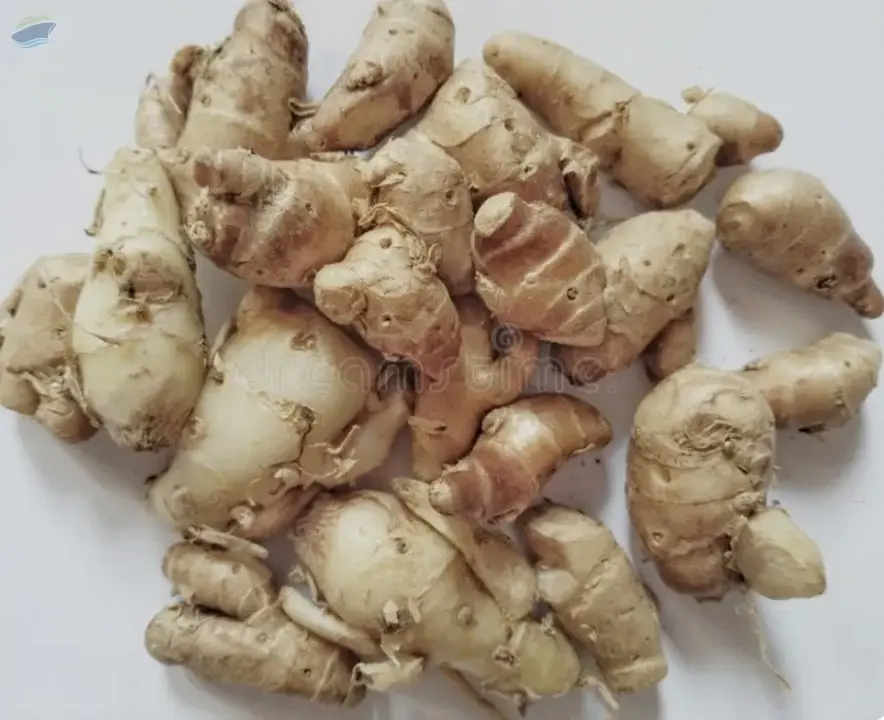 Aromatic Ginger