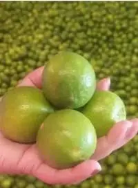 Lemon