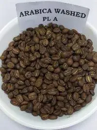 Arabica Washed PL A