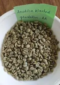Arabica Washed  Plantation - AA