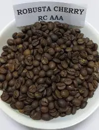 Robusta Cherry RC AAA
