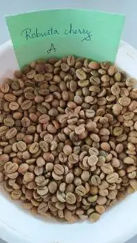 Robusta Cherry - A