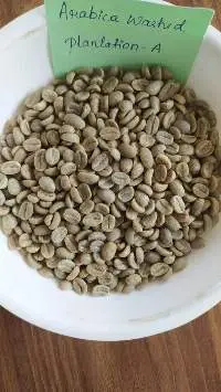 Arabica Washed Plantation - A