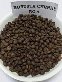 Robusta Cherry RC A