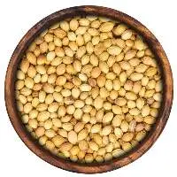 Coriander