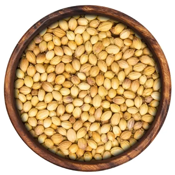 Coriander