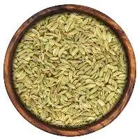 Fennel