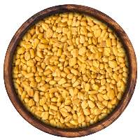 Fenugreek