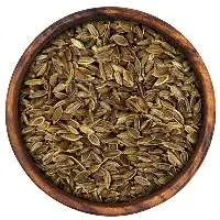 Dill Seeds