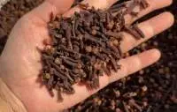 Standard Clove