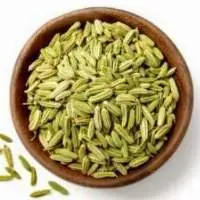 Fennel