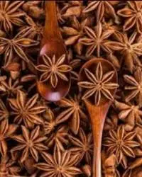 Star Anise