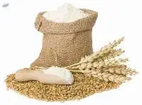 All Purpose Wheat Flour