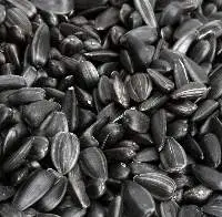 Sunflower Seeds