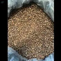 Robusta Coffee Beans