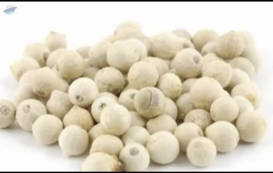 White Pepper