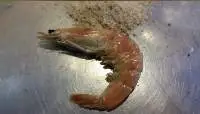 Dried Shrimps