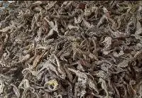 Dried Seahorse / Sea Cucumber
