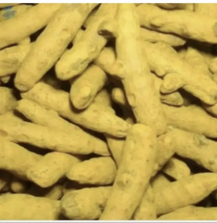 Turmeric Fingers